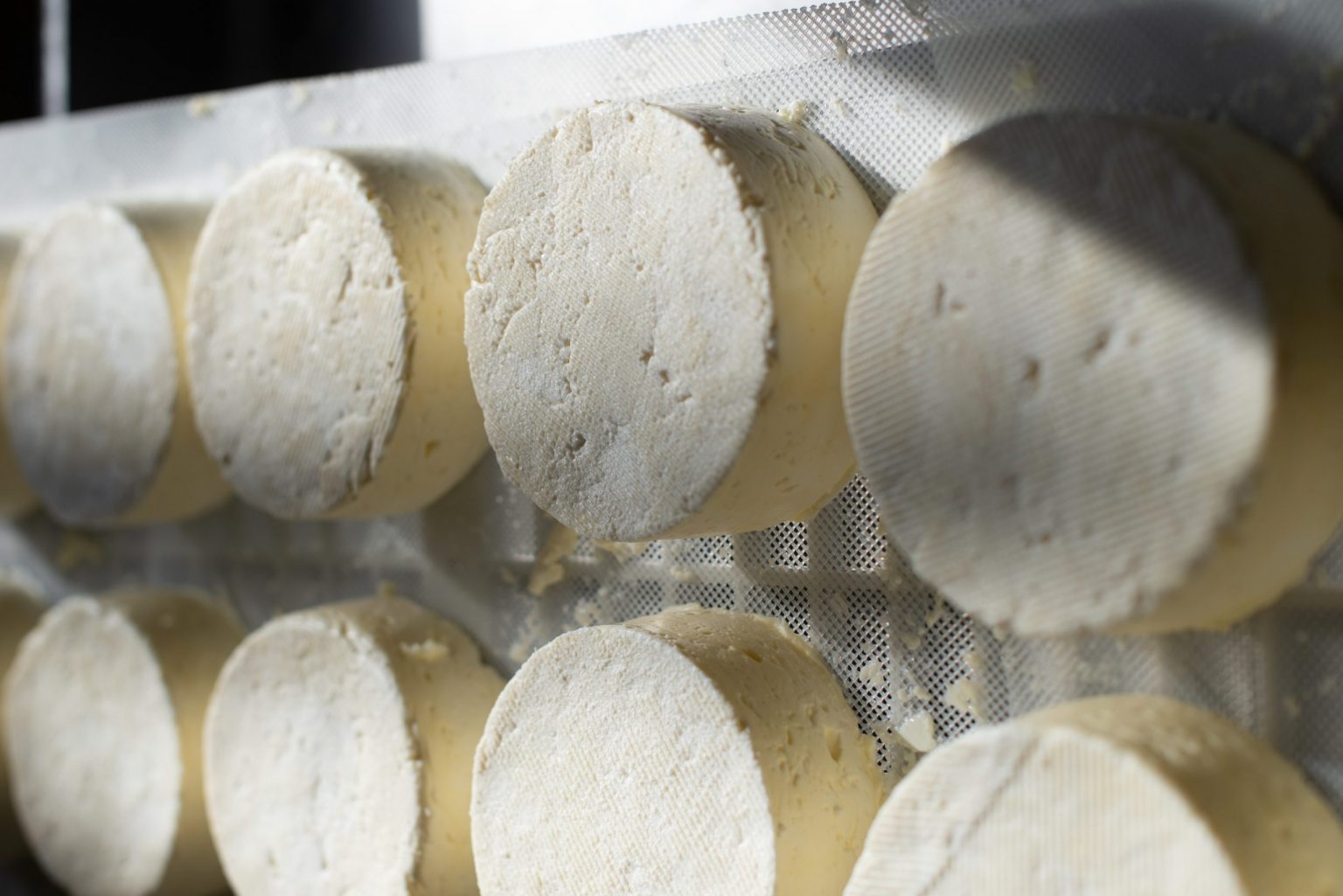 Camembert VS Brie What’s the Difference? Savery Grazing