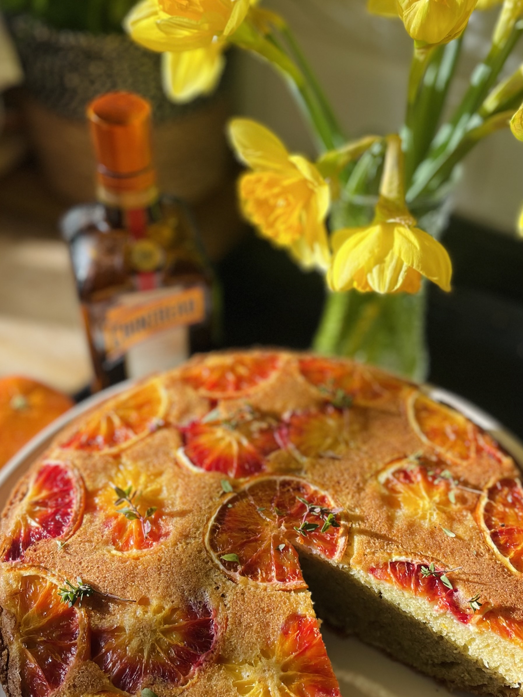 Olive oil cake made with blood oranges